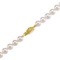 Cultured Akoya Pearl Strand Bracelet with Yellow Gold Clasp